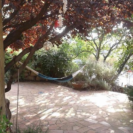 Atelier Pasquer Bed and Breakfast Fitou Exterior foto