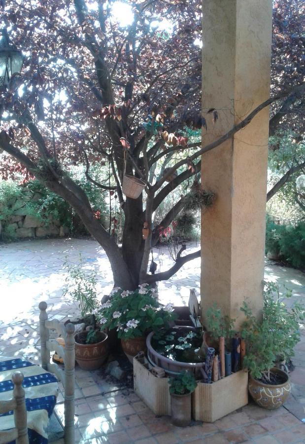 Atelier Pasquer Bed and Breakfast Fitou Exterior foto